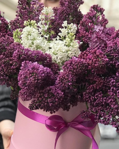 Букет из сирени в шляпной коробке купить с доставкой в Санкт-Петербурге Букет из сирени в шляпной коробке купить с доставкой в Санкт-Петербурге