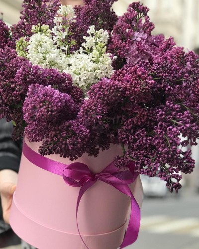 Букет из сирени в шляпной коробке купить с доставкой в Санкт-Петербурге Букет из сирени в шляпной коробке купить с доставкой в Санкт-Петербурге